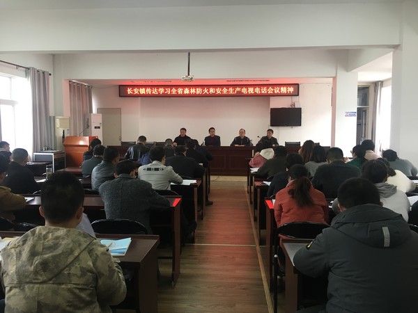 长安镇传达学习全省森林防火和安全生产电视电话会议精神.jpg