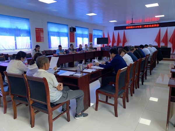 瀛洲镇召开第二季度党建工作例会.png